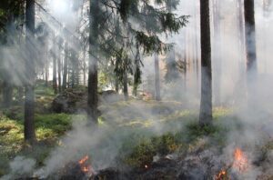 Accès strictement interdit au site de la Tour du Millénaire et à la Croix-Scaille jusqu'à nouvel ordre